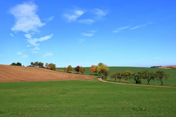 Pradera Con Hierba Grandes Árboles Otoñales Contra Cielo Azul — Foto de Stock