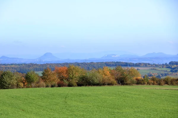Louka Trávou Velkými Podzimními Stromy Proti Modré Obloze Švýcarsku — Stock fotografie