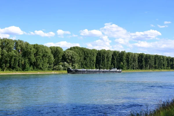 Внутрішнє Судноплавство Річці Рін Поблизу Гермерсхайма — стокове фото