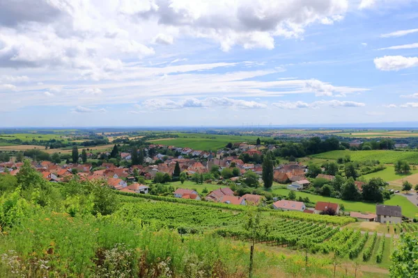 Vista Das Vinhas Para Pleisweiler Rota Vinho Alemão Palatinado — Fotografia de Stock
