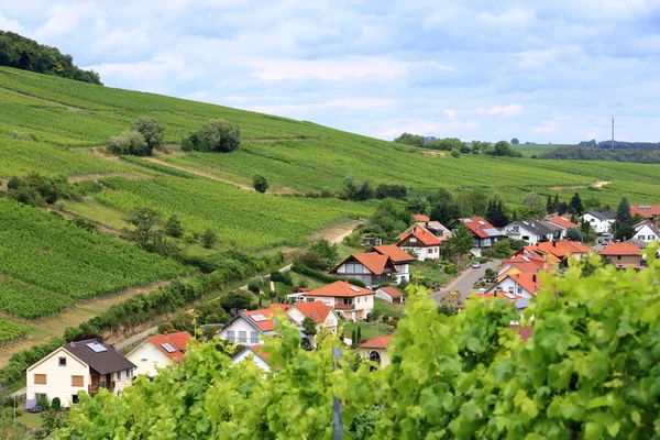 Blick Von Weinbergen Auf Pleisweiler Der Deutschen Weinstraße Der Pfalz — Stockfoto