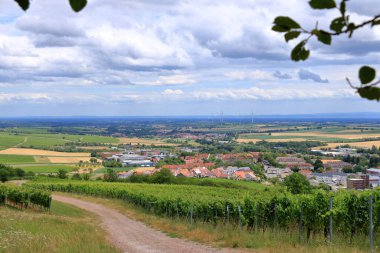 Üzüm bağlarından Berg Badzabern 'e kadar Alman şarap yolu damak zevkine uygun.