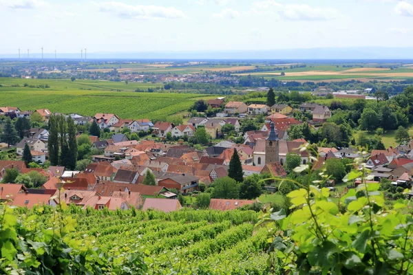 Vista Das Vinhas Para Pleisweiler Rota Vinho Alemão Palatinado — Fotografia de Stock