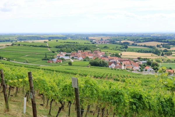 Vista Das Vinhas Para Pleisweiler Rota Vinho Alemão Palatinado — Fotografia de Stock