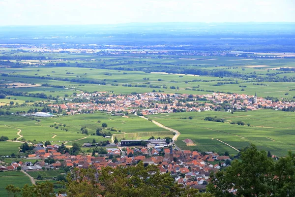 Vista Dai Vigneti Intorno Villaggi Rhodt Unter Rietburg Hainfeld Burrweiler — Foto Stock
