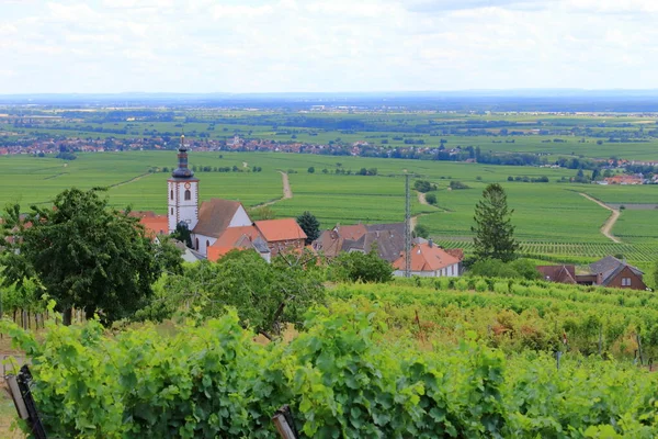 Vista Das Vinhas Redor Das Aldeias Rhodt Unter Rietburg Hainfeld — Fotografia de Stock