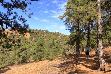 Kıbrıs 'ın en yüksek dağı Olimpos.