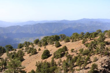 Kıbrıs Rum Kesimi 'ndeki Troodos dağları, Olimpos Dağı' na yakın, turistler, yürüyüşler ve avlular için popüler bir bölge
