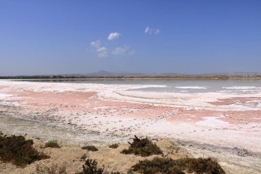 Kıbrıs 'ta Larnaka' daki güzel Salt Lake. Doğal arka plan. Peyzaj