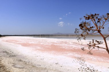 Kıbrıs 'ta Larnaka' daki güzel Salt Lake. Doğal arka plan. Peyzaj