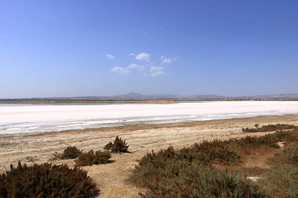 Lindo Lago Sal Larnaca Chipre Fundo Natural Paisagem — Fotografia de Stock