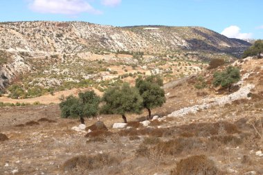 Kıbrıs dağları kıyıya yakın ve Avakas kayalıkları