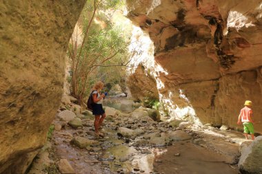 Dik kayalar ve dipte nehirle Avakas Geçidi 'nin manzarası. Akamas Yarımadası, Kıbrıs.