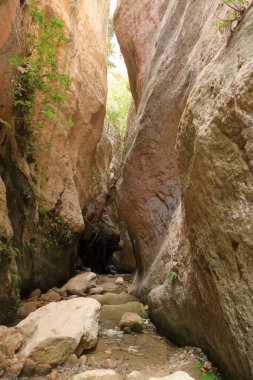 Dik kayalar ve dipte nehirle Avakas Geçidi 'nin manzarası. Akamas Yarımadası, Kıbrıs.