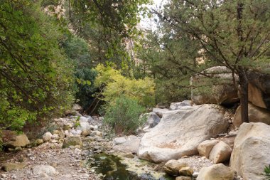 Dik kayalar ve dipte nehirle Avakas Geçidi 'nin manzarası. Akamas Yarımadası, Kıbrıs.