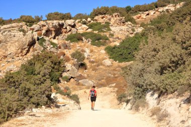 Dik kayalar ve dipte nehirle Avakas Geçidi 'nin manzarası. Akamas Yarımadası, Kıbrıs.
