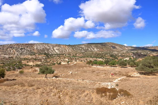 Горы Кипра Вблизи Побережья Скалы Авакас — стоковое фото