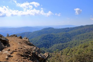 Kıbrıs 'taki troodos dağlarındaki kaledonya patikasının yakınındaki dağ vadisinde çam ağacıyla manzara