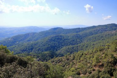 Kıbrıs 'taki troodos dağlarındaki kaledonya patikasının yakınındaki dağ vadisinde çam ağacıyla manzara