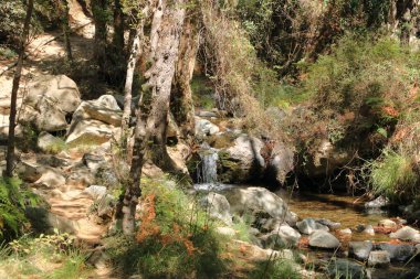 Kaledonya Şelalesi, Cythe 'deki Troodos Dağları' nda