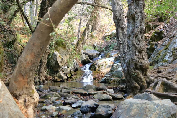 Μονοπάτι Καταρράκτη Καληδονίας Στα Βουνά Του Τροόδους Στην Κύπρο — Φωτογραφία Αρχείου