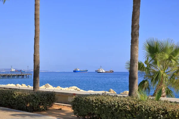 Oktober 2020 Limassol Zypern Große Containerschiffe Warten Vor Dem Hafen — Stockfoto