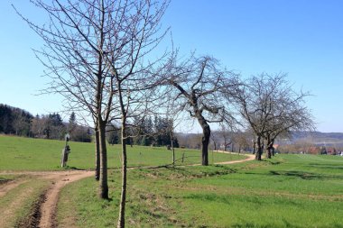 hiçliğe giden kırsal bir yol.