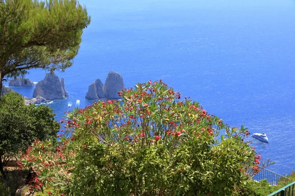 Vue Spectaculaire Sur Les Falaises Maritimes Littoral Des Rochers Faraglioni — Photo