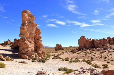 Güney Bolivya 'daki Bosque de Piedras kaya oluşumu (Valle de Rocas, Ciudad de Piedra)