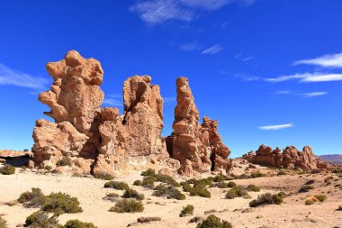 Güney Bolivya 'daki Bosque de Piedras kaya oluşumu (Valle de Rocas, Ciudad de Piedra)