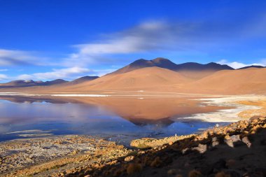 Flamingolarla ve Bolivya 'daki dağ yansımalarıyla Laguna Colorada' nın hava görüntüsü