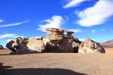 Güney Amerika 'da Bolivya' nın Uyuni Tuz Düzlüğü bölgesindeki Siloli Çölü 'ndeki ünlü taş ağaç oluşumu (Arbol de Piedra).