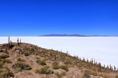 Bolivya 'daki Uyuni tuz dairesindeki Incahuasi Adası' ndan (kaktüs adası) bir manzara