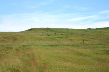 the beautiful landscape of Mykines island, Faroe islands, Denmark, Europe
