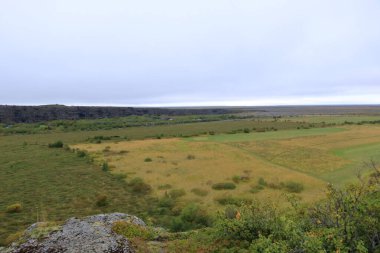 Kuzey İzlanda 'daki Asbyrgi Kanyonu