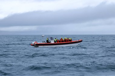 Hrisey, İzlanda - Eylül 01 2025: Eyjafjordur fiyortunda safari teknesini izleyen insanlar