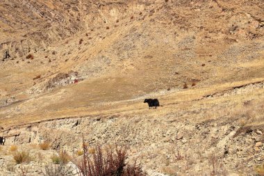 Yamdrok Gölü 'nün açık mavi buzul sularının üzerinde Tibet' teki Gampa High Pass yolunda.