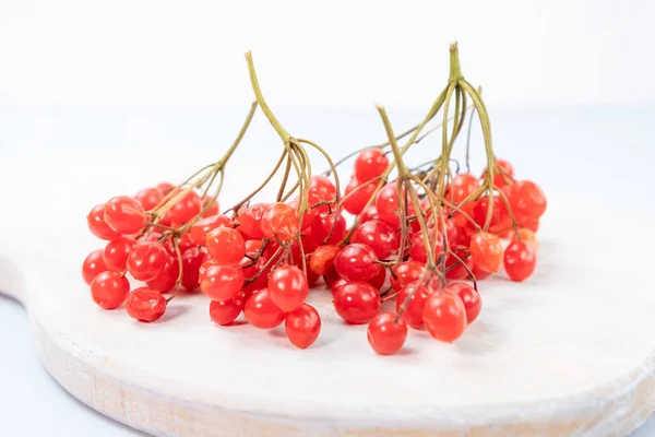 Grappes Viorne Rouge Sur Fond Bois Blanc Baie Utile Baie — Photo