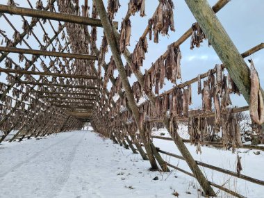 Norveç 'teki Lofoten Adaları' ndaki bir rafta hava kurutma ürünleri.