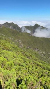 Madeira Portekiz 'de Pico Ruivo rotasındaki dağların arasında sisli manzara
