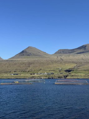Atlantik Okyanusu 'ndaki Somon Balık Çiftliği, Faroe Adaları Su Ürünleri Endüstrisi