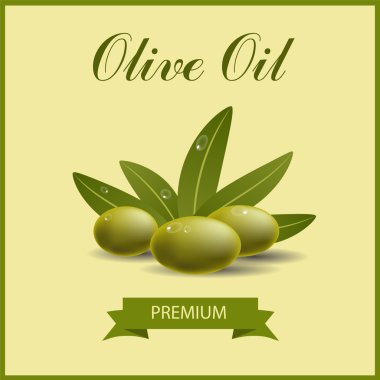 Vektör yeşil zeytin