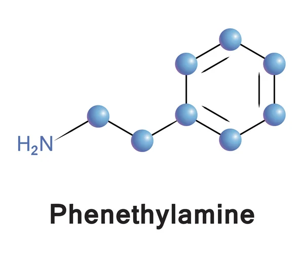 Phenylethylamine — Stockvector