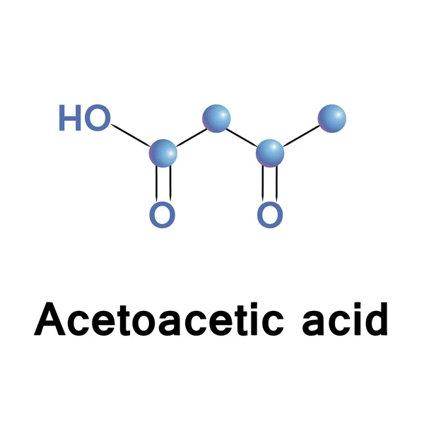 Acetossigsäurestruktur. — Stockvektor