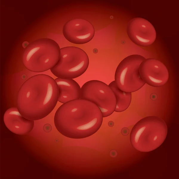 Globuli rossi (eritrociti) ) — Vettoriale Stock