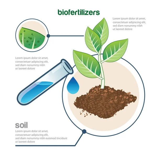 Planta y fertilizante — Vector de stock