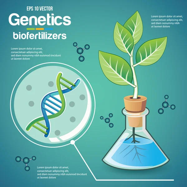 Genetica (pianta ) — Vettoriale Stock