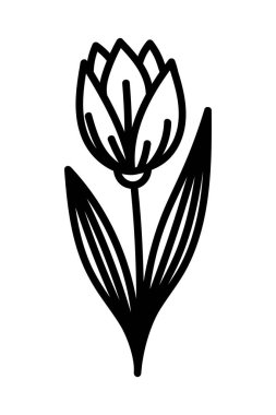 VECTOR 'DA BİR BEYAZ ÇİÇEĞİNDE GÖREV ÇİÇEĞİ