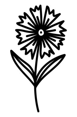 VECTOR 'DA BİR BEYAZ ARASINDA CORNFLOWER