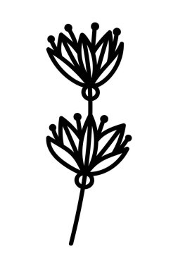 VECTOR 'DA BİR BEYAZ SAVAŞ İKİNCİ